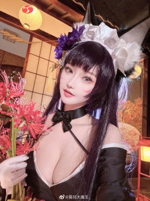 [露兒大魔王] 碧蓝航线武藏_21