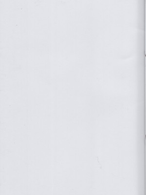 (COMIC1☆22) [ももしば杏子 (なふたん)] 帰宅寸前その① (ゼロの使い魔) [中国翻訳]_27