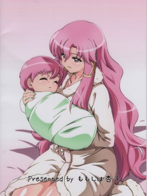 (COMIC1☆22) [ももしば杏子 (なふたん)] 帰宅寸前その① (ゼロの使い魔) [中国翻訳]_28