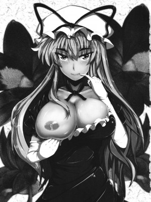 (C78) [芦間山道 (芦間たくみ)] 愛紫あい (東方Project) [中国翻译]_02