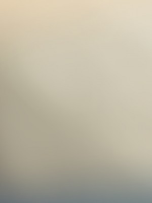 [てのひらタンバリン] ボクは寝取られた妻のSEXを覗き見る_444