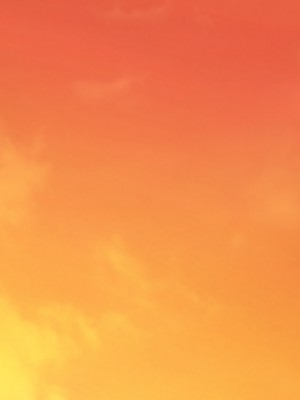 [てのひらタンバリン] ボクは寝取られた妻のSEXを覗き見る_281