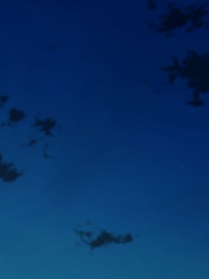 [てのひらタンバリン] ボクは寝取られた妻のSEXを覗き見る_293