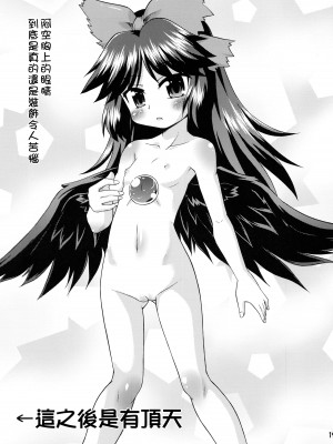 (例大祭6) [最果て空間 (緋乃ひの)] スーパーカラスタイム (東方Project) [命蓮寺漢化組]_19