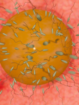 [dfifuw98] 生徒会活動報告書 01-03_311_109508860_p166