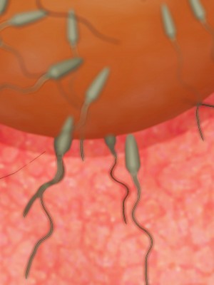 [dfifuw98] 生徒会活動報告書 01-03_312_109508860_p167