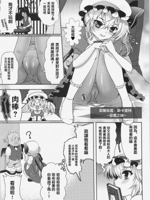 (例大祭11) [くまたんFlash! (はなぉ。)] concern (東方Project) [中国翻訳]_05