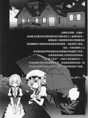 (例大祭11) [くまたんFlash! (はなぉ。)] concern (東方Project) [中国翻訳]_03