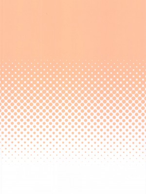 [ドットエイト (さわやか鮫肌)] 文ちゃんとすけべする本 (東方Project) [绅士仓库汉化]_19