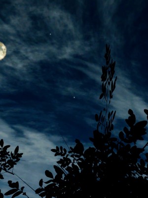 [dfifuw98] 一日一名様限定 癒しの秘湯旅館（一日目・昼の部・夜の部）_099_102160247_p20