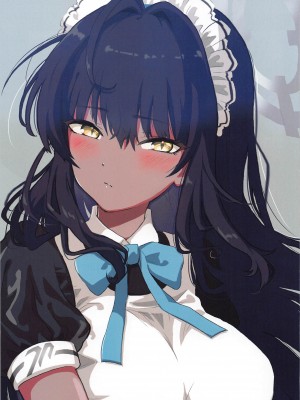 (C103) [なすあんちょび (富士茄鷹、寺西貴族)] ぶるあかえっち合同本 (ブルーアーカイブ)_36