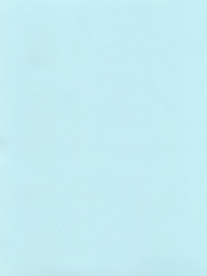 [やながわ理央] 僕たちオトコの娘 [想要女装被男娘中出个人汉化]_003