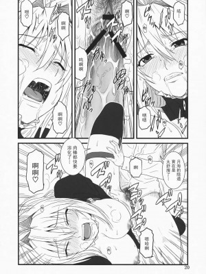 [飞雪汉化组] (C75) [俺たちミスノン一家 (ミスノン・ザ・グレート)] 堕チタ鶺鴒 (セキレイ)_19