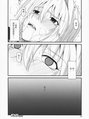 [飞雪汉化组] (C75) [俺たちミスノン一家 (ミスノン・ザ・グレート)] 堕チタ鶺鴒 (セキレイ)_23