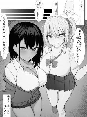 [なんの丸屋 (なんの丸)] ギャルとの共同性活〜ギャル飼ってみませんか？〜_03