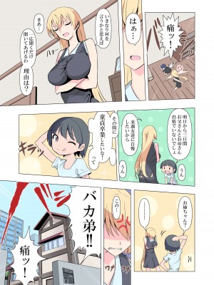 [Blood Moon (ガスマス)] お姉ちゃんお願い!1回でいいからセックスさせて!_03