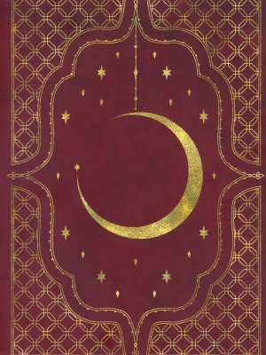 (C103) [めんだこぱぁく (やまもと)] 聖園拘束 (ブルーアーカイブ)_28