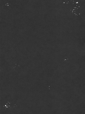 [ホロナミンZ (ホロナミン)] 少女テラリウム 第1-3話 [中国翻訳] [DL版]_P2_003