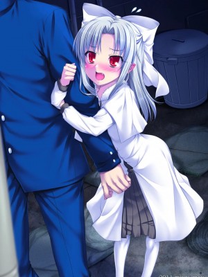 (C80) [ビタークラウン (奈々実りん)] あの眼鏡がなんでこんなにモてるのかわけがわからないよ (月姫)_10