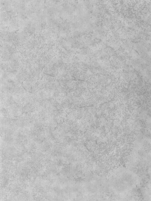 (C103) [エス書店 (さんい)] リトルバイリトル (アイドルマスター シャイニーカラーズ) [纯情志保P汉化]_03