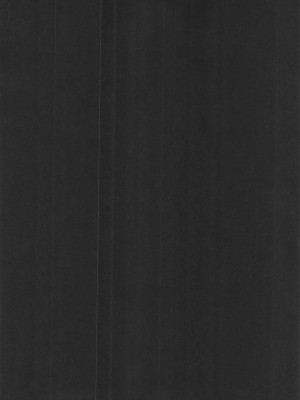 (C103) [ぱんもどきの湯 (ぱんやかわ)] カンナの落日+おまけ (ブルーアーカイブ)_02