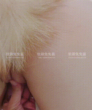 软萌兔兔酱 -  爱猫人士 with GIF_116