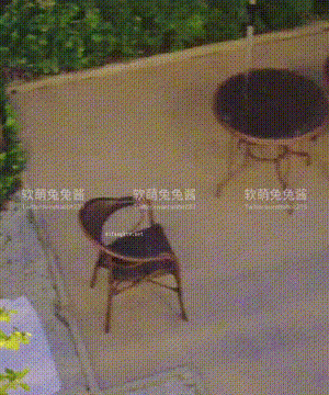 软萌兔兔酱 -&nbsp;&nbsp;爱猫人士 with GIF_082