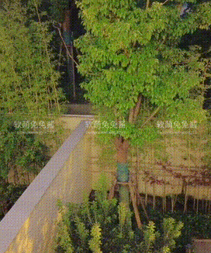 软萌兔兔酱 -&nbsp;&nbsp;爱猫人士 with GIF_077