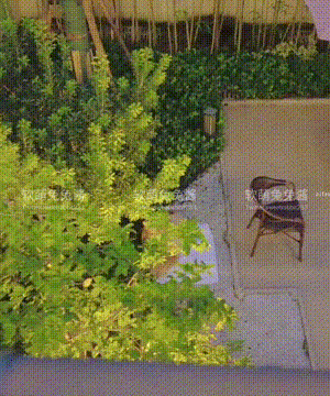 软萌兔兔酱 -&nbsp;&nbsp;爱猫人士 with GIF_079