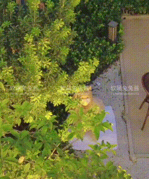 软萌兔兔酱 -&nbsp;&nbsp;爱猫人士 with GIF_078