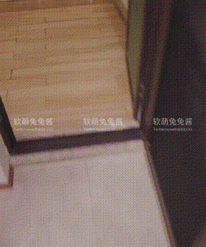 软萌兔兔酱 -&nbsp;&nbsp;爱猫人士 with GIF_080