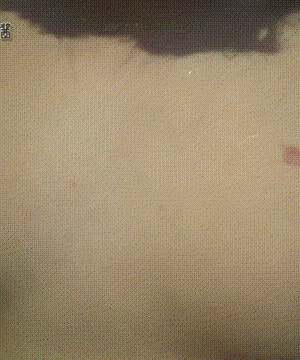 软萌兔兔酱 - 史莱姆草神 with GIF_114