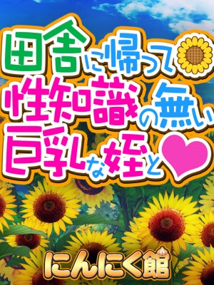 [にんにく館] 田舎に帰って性知識の無い巨乳な姪と_004