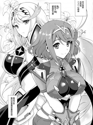 異度神劍2 光焰 純愛合集2 (ゼノブレイド2)_06