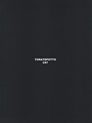 異度神劍2 光焰 純愛合集2 (ゼノブレイド2)_47