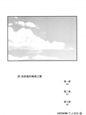 (コミティア117) [青色一座 (あおいろ一号)] のらねことレインデイズ [USEDGUMI个人汉化]_03