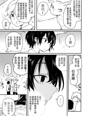 (コミティア117) [青色一座 (あおいろ一号)] のらねことレインデイズ [USEDGUMI个人汉化]_14