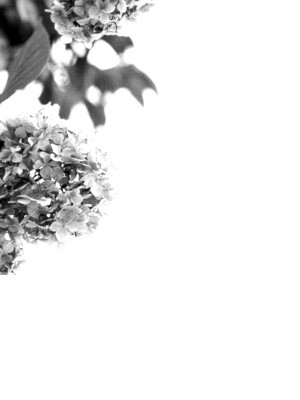 (コミティア117) [青色一座 (あおいろ一号)] のらねことレインデイズ [USEDGUMI个人汉化]_26