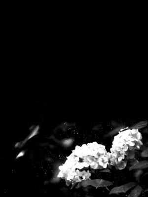 (コミティア117) [青色一座 (あおいろ一号)] のらねことレインデイズ [USEDGUMI个人汉化]_51