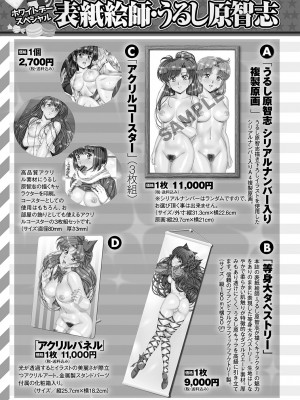 コミックマショウ 2024年4月号 [DL版]_260