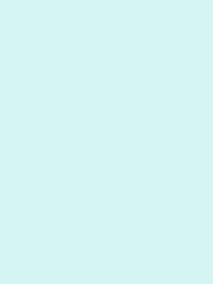 [KK個人漢化] (C67) [GUST (ガストさん)] IRO-IRO (魔法先生ネギま！)_02