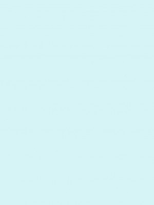 [KK個人漢化] (C67) [GUST (ガストさん)] IRO-IRO (魔法先生ネギま！)_43