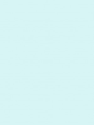 [KK個人漢化] (C67) [GUST (ガストさん)] ASUNA vs NEGI (魔法先生ネギま！)_02