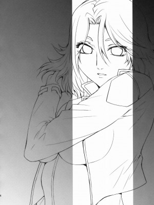 [灰羽社汉化组] [紅茶屋 (大塚子虎)] BLACK DIAMOND 2 (機動戦士ガンダム00)_03