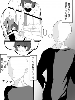 [はとめ本舗] 妹と(催眠で)えっちする本re [DL版]_02