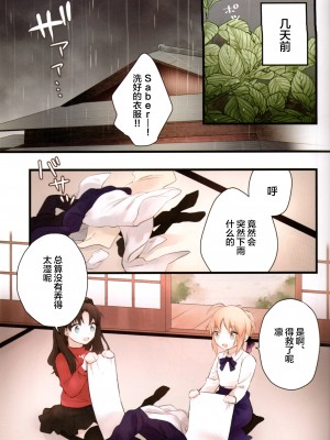 (C97) [jingle (スズ)] そういう下着は俺には早い (Fate／stay night) [中国翻訳]_04
