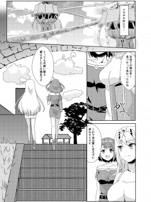 (C103) [ShaDraw (かげみや)] にゃんにゃんニアちゃん2 (ゼノブレイド2)_03