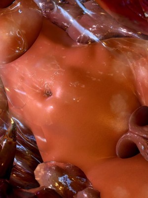 [もみおじ] Mimic Trap 7_0159