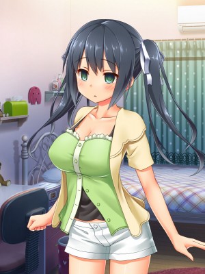 [どろっぷす! (大人のSEXY絵本)] 最愛カノジョがNTR堕ちする話 〜ボクっ娘ツインテ彼女ちゃんはチャラ男（オレ）のモンだから〜 総集編_258