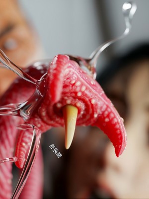 [ryota tanaka] 逆轉 41-42_0191